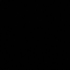 Meet your Posher, Noah